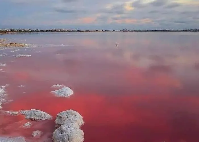 Belle Mar Sea View Apartment